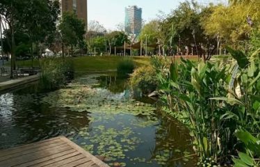 À louer – Appartement de 2,5 pièces – Cœur de Tel-Aviv