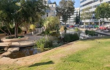 À louer – Appartement de 2,5 pièces – Cœur de Tel-Aviv